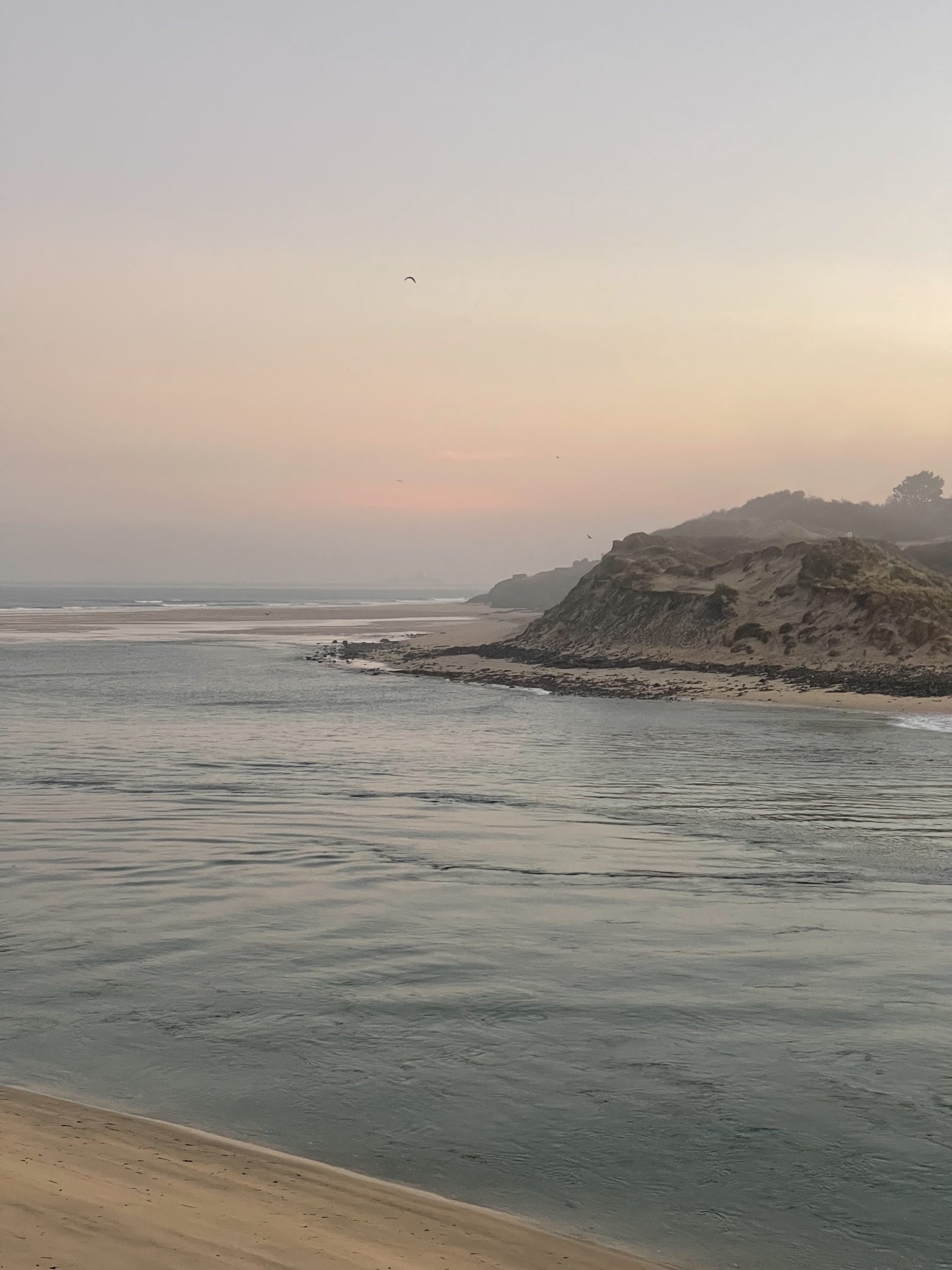 Misty Sunrise over the Ocean and beach with flying birds