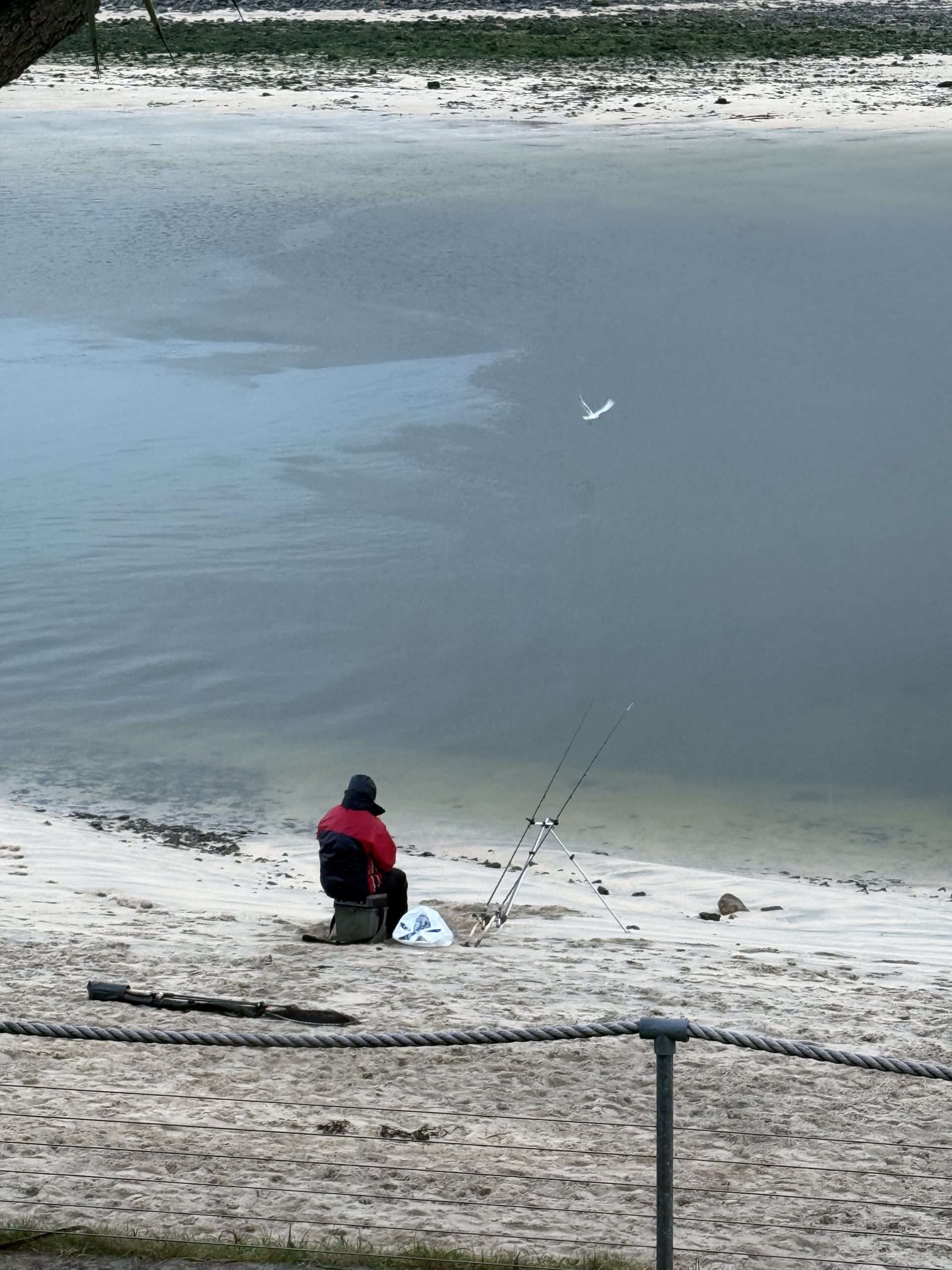 Single Fisherman Fishing by the garden
